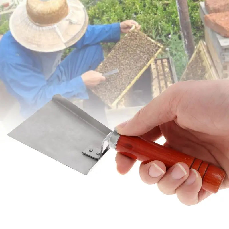 Beekeeping Cleaning Shovel Stainless Steel Wood Handle Bee Case Cleaner Tools Hive Beekeeper Equipment Beekeeping Cleaning Shovel Stainless Steel Wood Handle Bee Case Cleaner Tools Hive Beekeeper Equipment