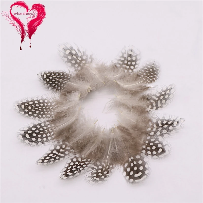 1 natural color guinea fowl feather 2
