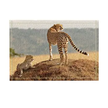 

Wild Animal Decor Safari Leopard Mother and Son Standing on Prairie Bath Rugs Non-Slip Doormat Floor EntrywaysDoor Mat