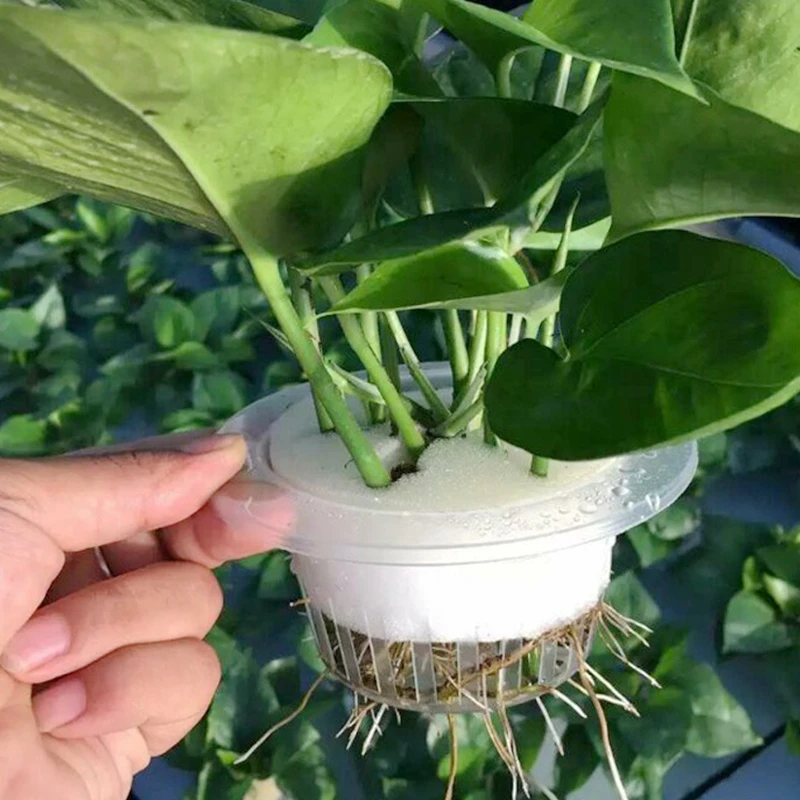 10 комплектов диаметр 48,5 мм сетчатый горшок чистая чашка с 50*30 мм детская губка для Выращивание овощей садовые растения Гидропонные наборы