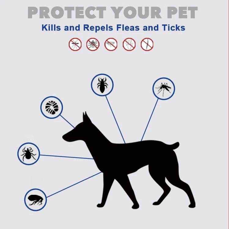 301835_no-logo_301837-3-01-p