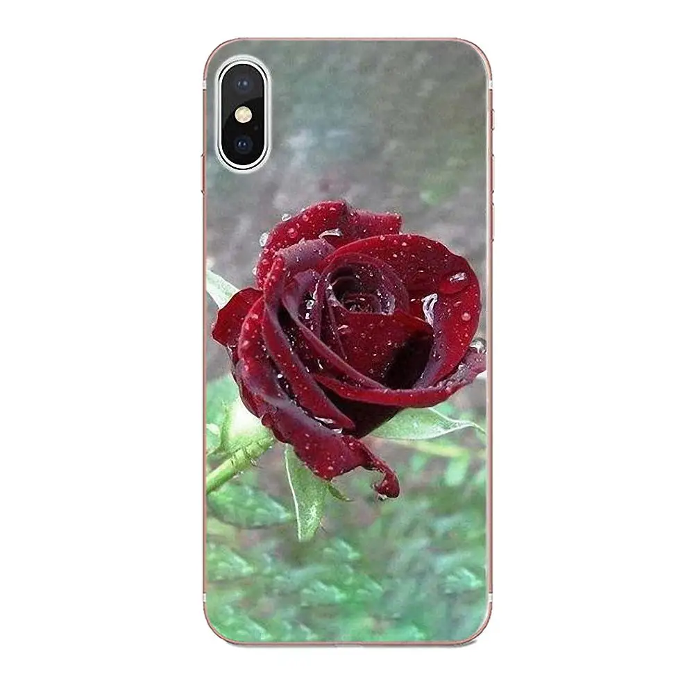 Мягкий ТПУ узор Розовый красивый сад красные розы цветы для Apple iPhone 4 4S 5 5C 5S SE 6 6S 7 8
