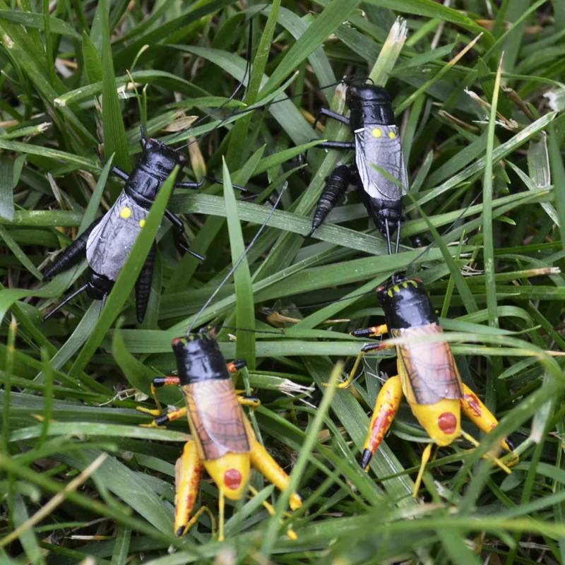 7*5 سنتيمتر طين فن التماثيل الحيوانية عالية تقليد الكريكيت الحشرات ، diy الجنية حديقة المنمنمات المنزل اكسسوارات الديكور ، والأطفال اللعب