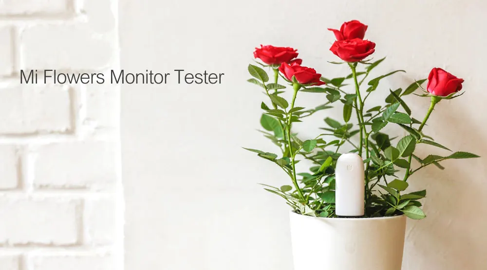 Original Xiaomi Mi Flora Monitor Flowers Grass Care Soil Water Light Smart Tester Digital Sensor For Garden Plant  (1)