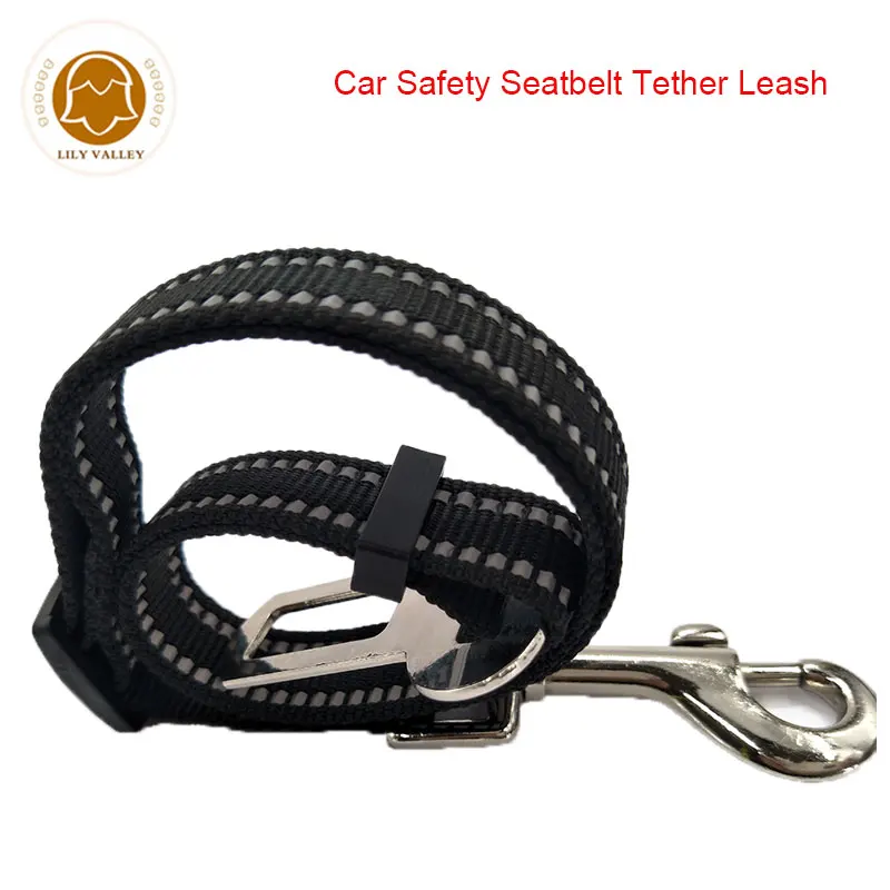 Pet Dog Cat Safety Leads
