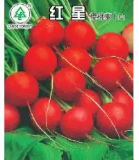 

Red cherry radish bonsais 10pcs hot vegetable bonsais