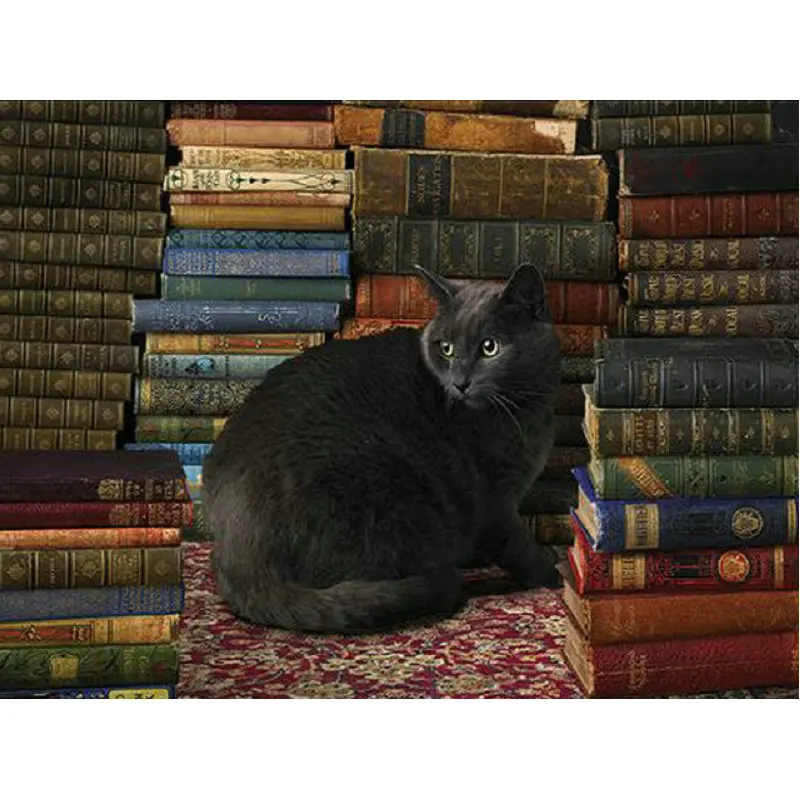 Алмазная вышивка сделай сам черная книга с кошкой картина крестиком стразы