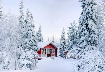 

VinylBDS House Under Snow Photography Studio Backdrop Dreamlike Background Kate Background Backdrop
