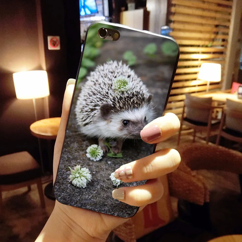 MaiYaCa животный детский Ежик Топ детальный популярный чехол для телефона iPhone 8 7 6 6S