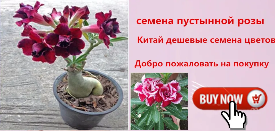 5943a01dN68ffgf41da0_