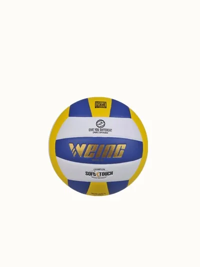 Professional volleyball