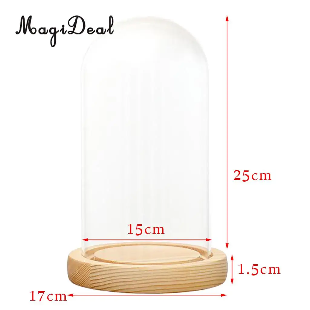 MagiDeal Mini Clear Glass Hemisphere Cloche Cover Dome Light Up Cabochon Bell Succulent Terrariums Air Plant Covers With Cork	
