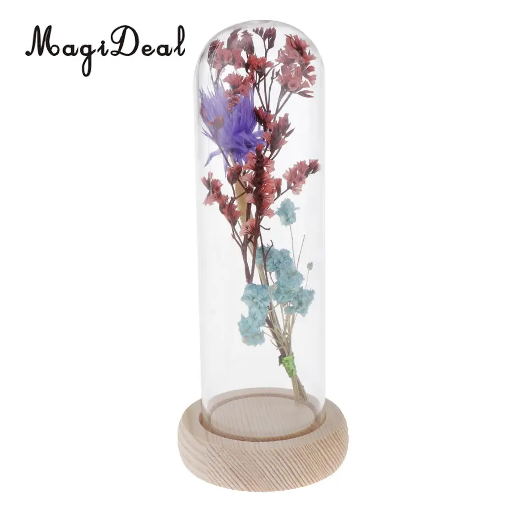 Clear Glass Display Cloche Bell Jar Dried Immortal Flower Preservation Vase Wooden Base Cafe Bar Countertop Decor Ornament