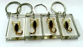 

free shipping 12 keychain natural golden scorpion lucid rectangle style jewelry