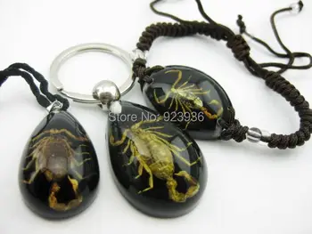 

FREE SHIPPING 3pcs YQTDMY Charm pendant/ key ring chain/brecelet Natural Insect Specimen scorpion resin filigree bangle locket