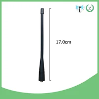 Walkie Talkie
