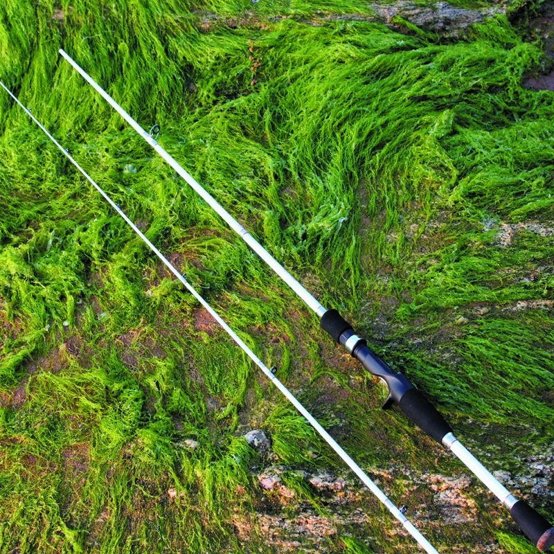 Free shipping High Quality 6'6" 100 Carbon Fishing Rod In 2 Sections