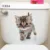 Lovely Cat Dog Toilet Stickers Home Decoration Diy Funny Cartoon Animal Wc Mural Art Vivid 3d Kitten Puppy Safari Pvc Wall Decal 27