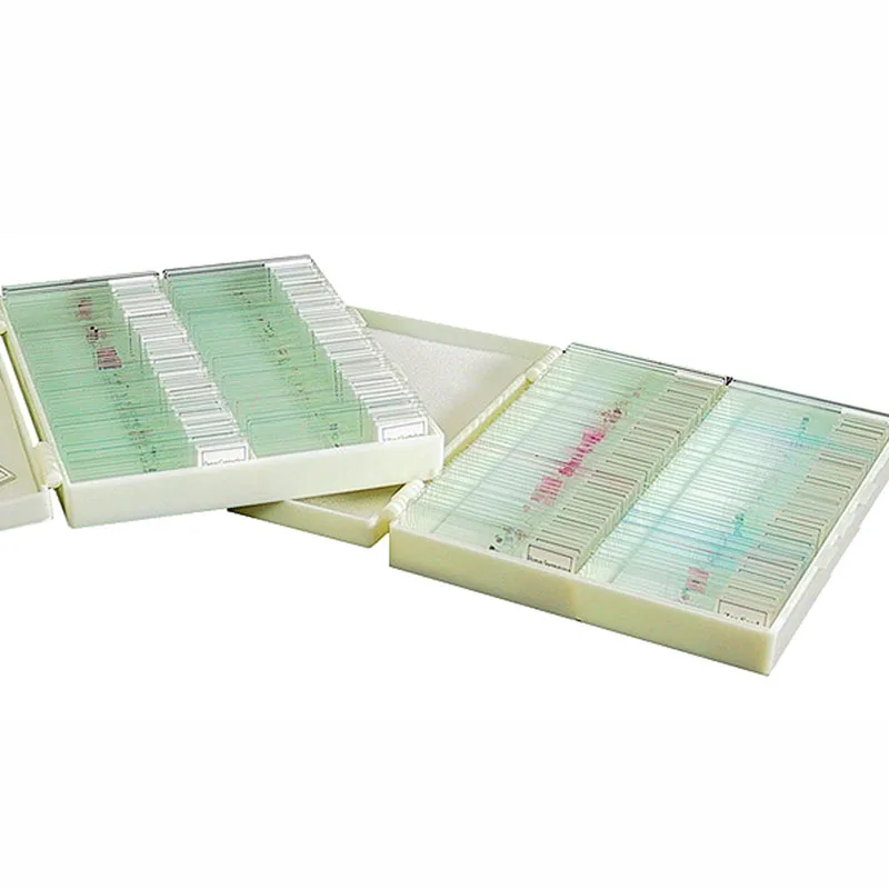 200PCS Biological Mixed Plant Animal Specimen Glass Microscope Prepared Slides | Канцтовары для офиса и дома