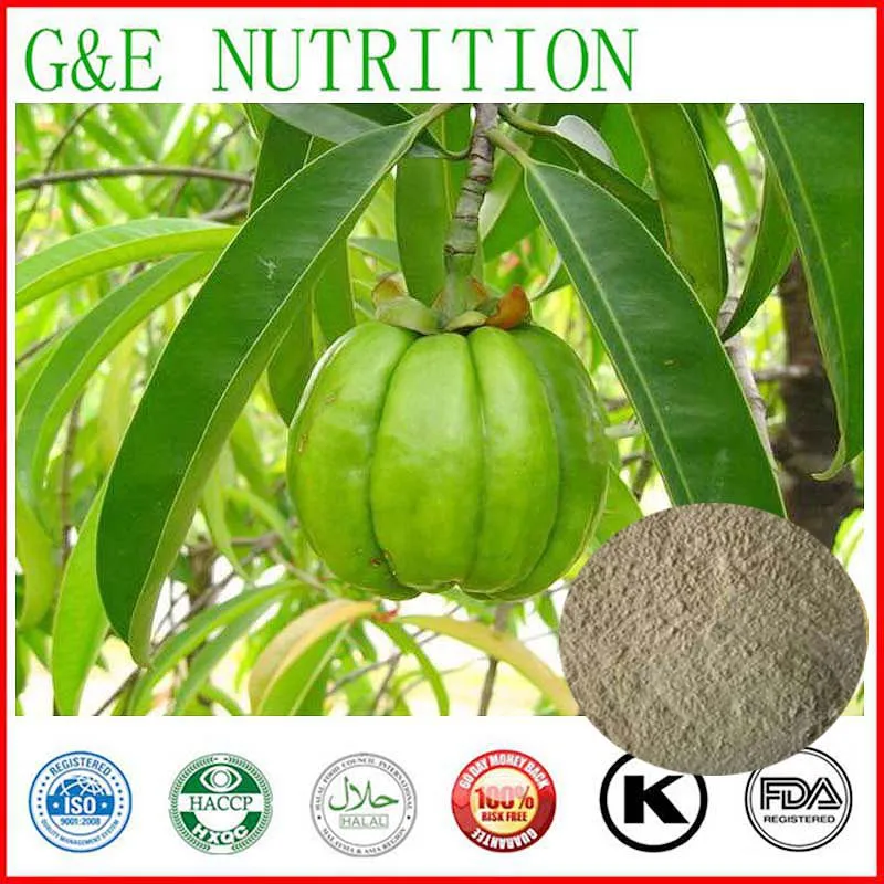 Garcinia cambogia fruit extract weight loss diet supplement Burn Fat   60% HCA   Slimming 100g