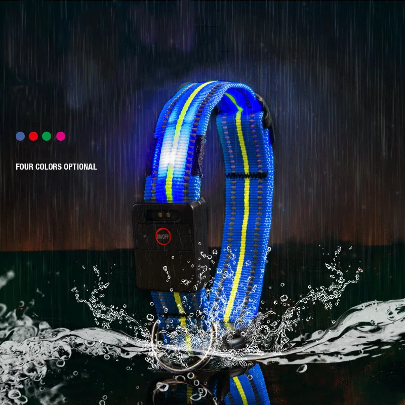 Dog Collar Luminous (12)