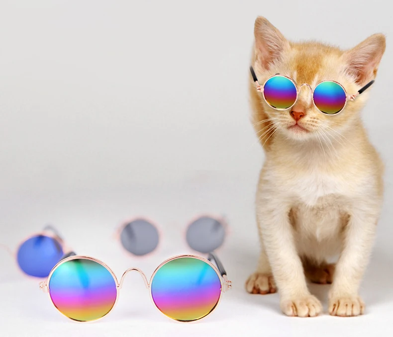 Cool Pet Sunglasses Hot Sale Fashion Cat Eye-wear Pet Accessories UV Protective Goggles Resin Lenses For Poodle Kitty Small Dog (1)