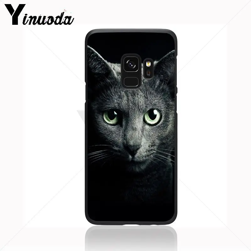 Black Cat Staring Eye