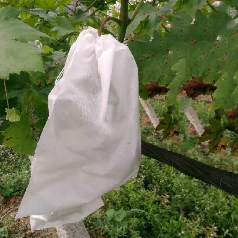 

100Pcs Grape protective bag non-woven bird bag breathable transparent fruit insect-proof fruit bag grape transparent