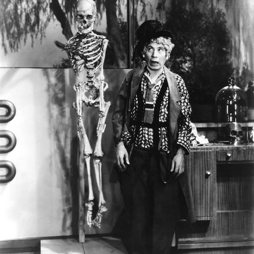 Horse Feathers Photo Print (16 x 20)