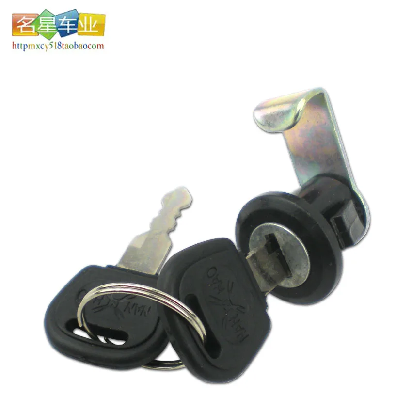 locking bicycle trunk