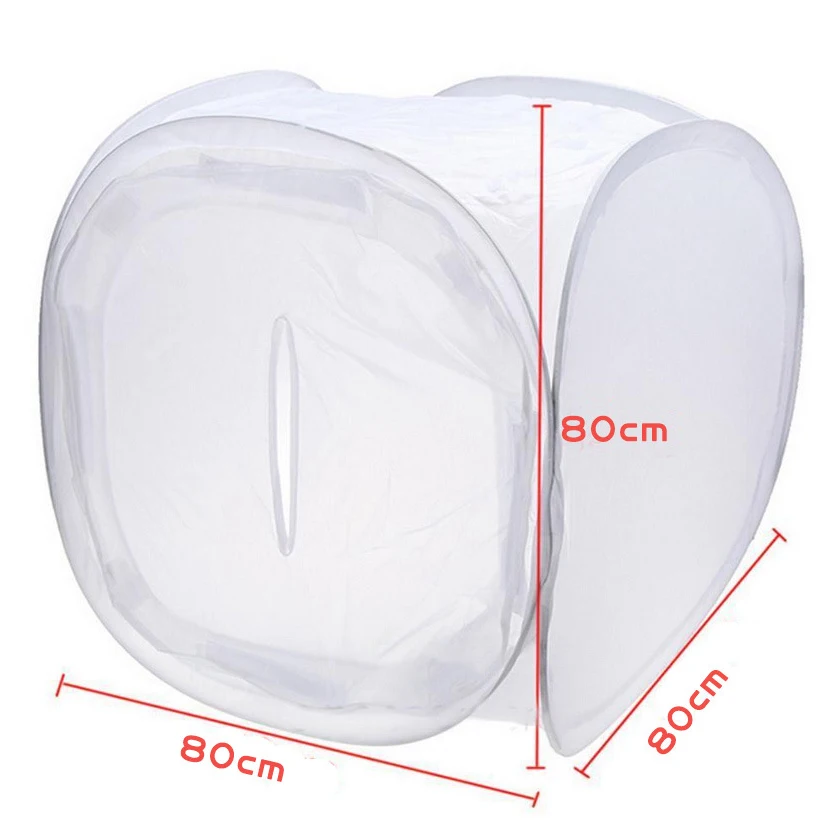 6Size