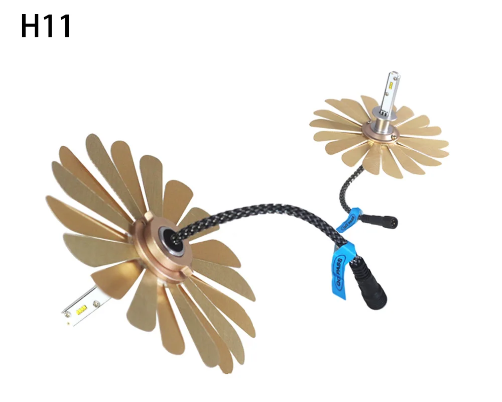 H11