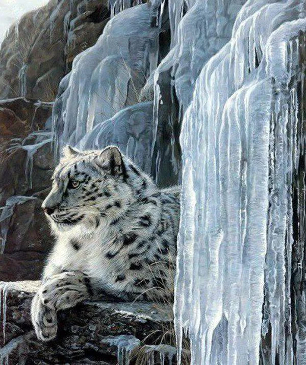 White Tiger (1)