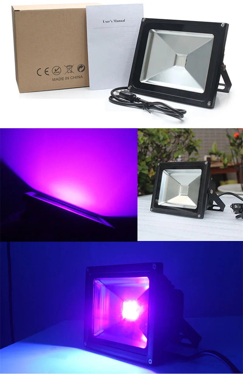 10472872620_588156238