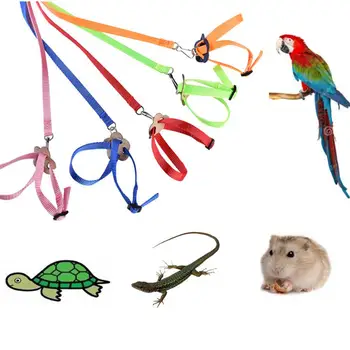 

Adjustable Pet Bird Leash Kit Anti-bite Flying Training Rope Reptile Lizard Parrot Turtle Harness Hauling Cable Rope Pet Leash