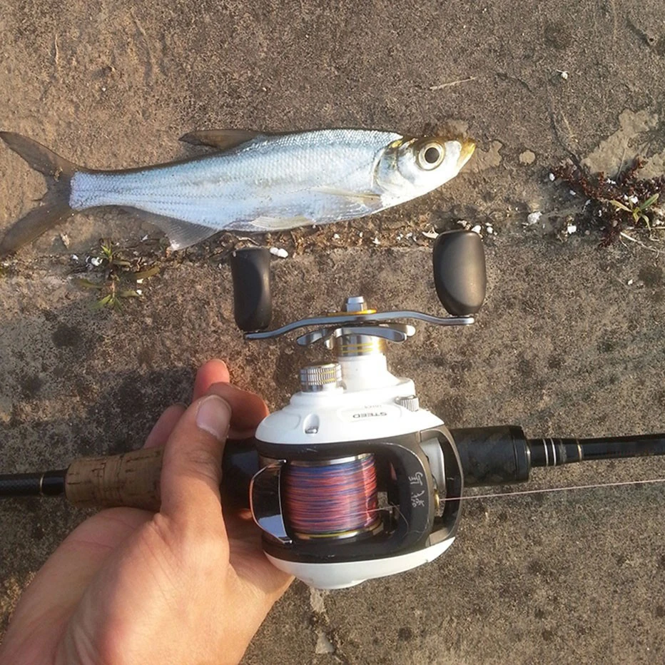 Haibo STEED baitcasing Катушка 8 + 1 BB Рыболовная катушка левая/правая рука белая