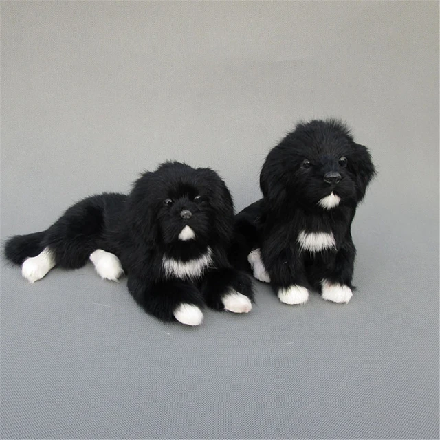 Những bức ảnh đáng yêu của newfoundland dog cute đáng thích thú để xem