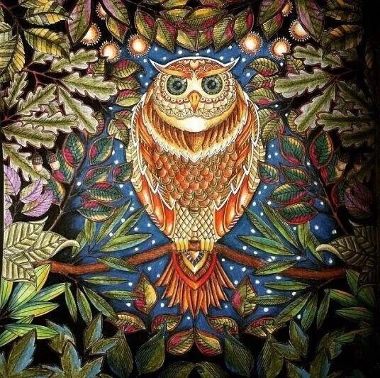 Aliexpress Buy Secret Garden An Inky Treasure Hunt And Coloring Book For Children Adult Relieve Stress Kill Time Graffiti Painting Drawing From