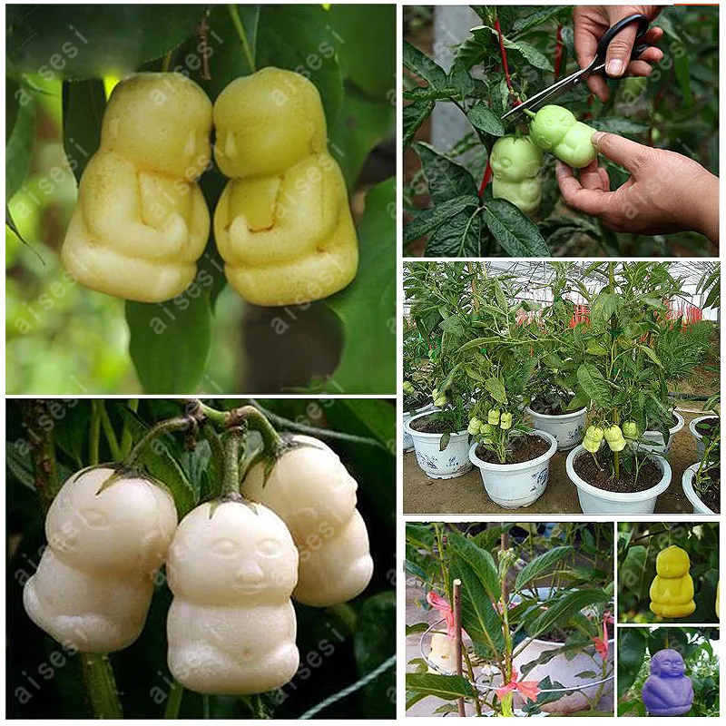 

10pcs Rare Baby Ginseng Fruit pear bonsai funny Ornamental Bonsai plants garden