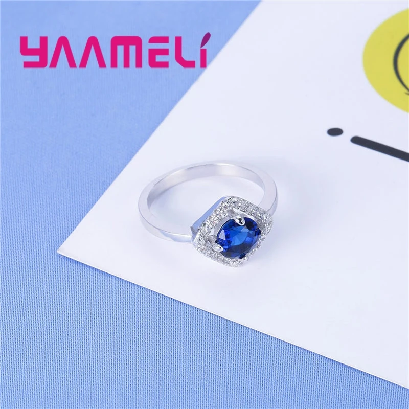 R30100 (7)