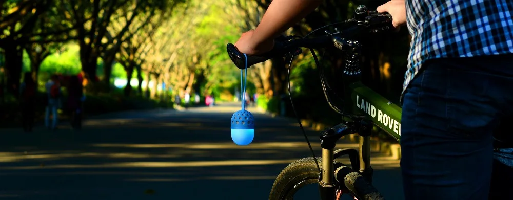 3831626671_158263846