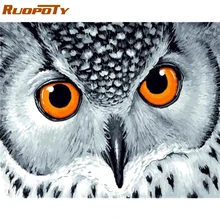 

RUOPOTY Frame Owl Diy Painting By Numbers Animal Acrylic Paint By Numbers Modern Coloring By Numbers For Home Decor Artwork Gift