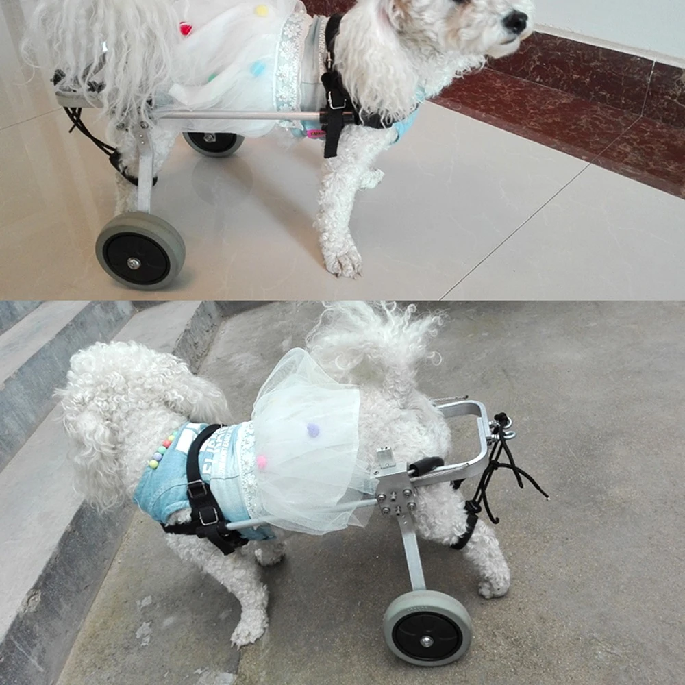 S/M/L Stainless Steel Dog Wheelchair For Handicapped Hind Legs Cat Dog 