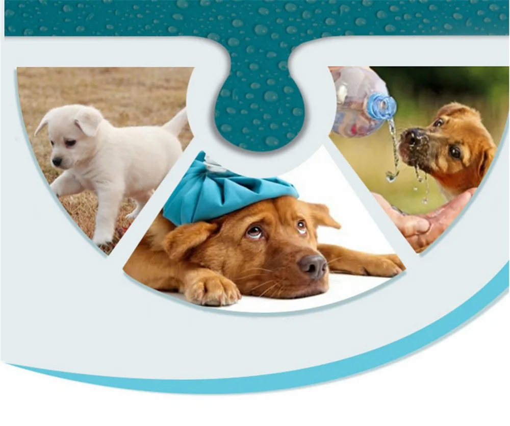 TB2lUCVqStYBeNjSspkXXbU8VXa_!!681899524