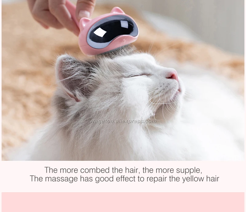 10 pet groomer