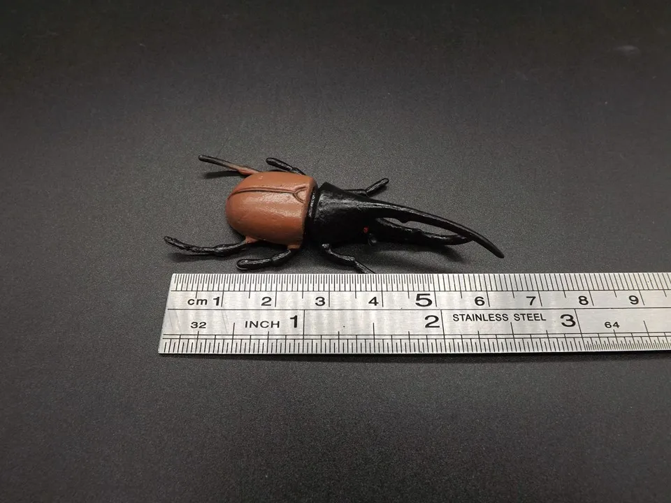 J007 (12)