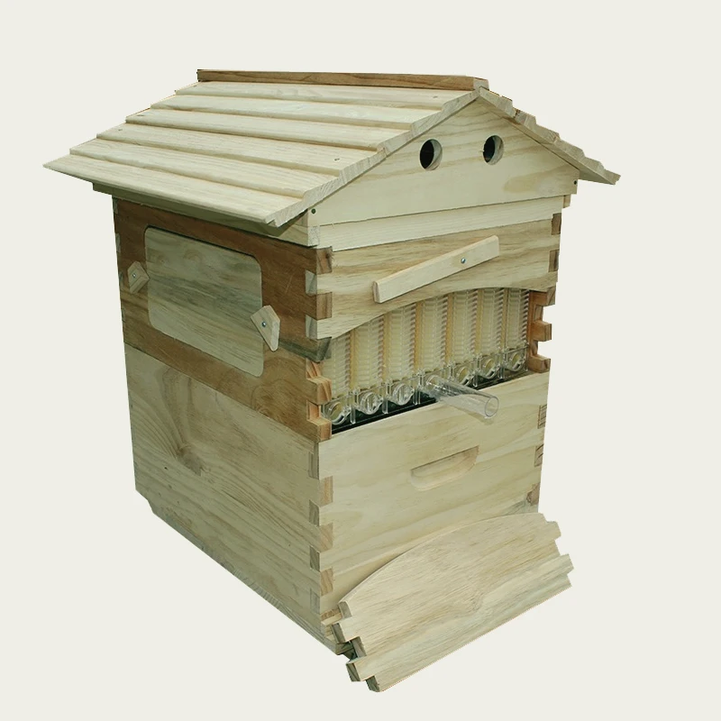 

Flow hive free ship automatic beehive honey for honey bee hive honeycomb 7PCS flow frames beehive colmena flow hive frames kits