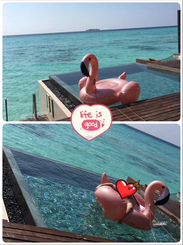 150 rose pink flamingo