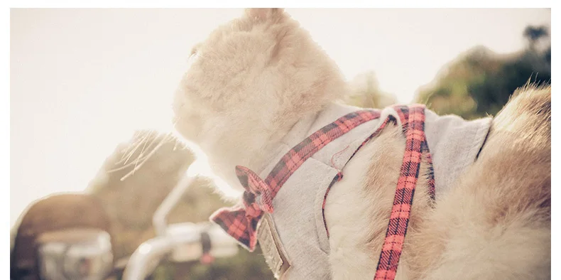 Fancy Cat Walking Harness Jackets and Leash Knitted Fabric Soft Cute Kitten Collars Stroller Bow Tie Fashion XS-M (7)