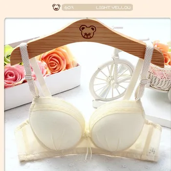 

Free shipping new Japanese lace cute little fresh no steel circle student girl bra